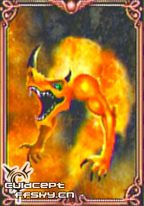 013Salamander.jpg